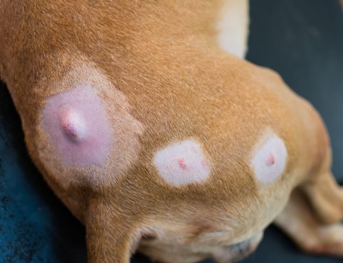 Lumps and Bumps: When Is a Mass an Emergency?